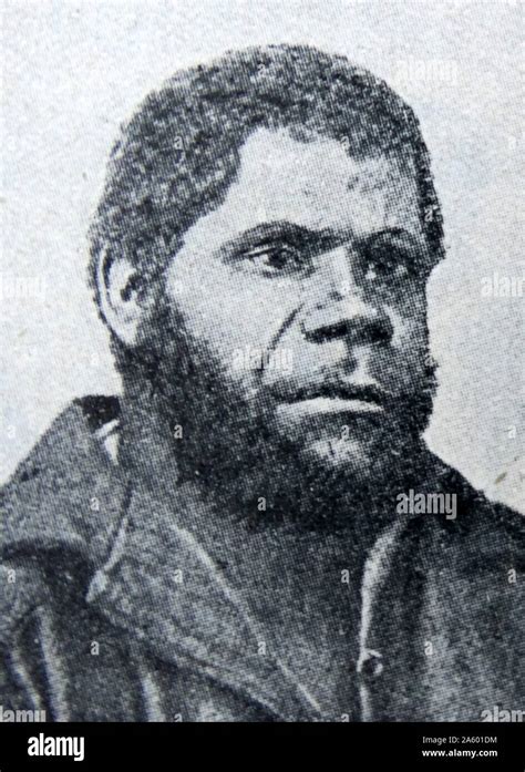 king billy australia.